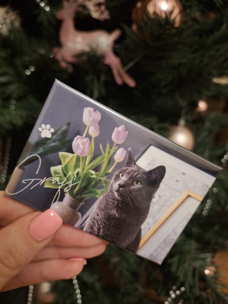 🐱 'Murrr murrr' magnēts