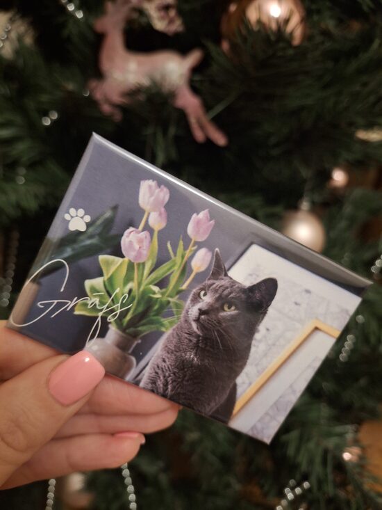 🐱 'Murrr murrr' magnēts