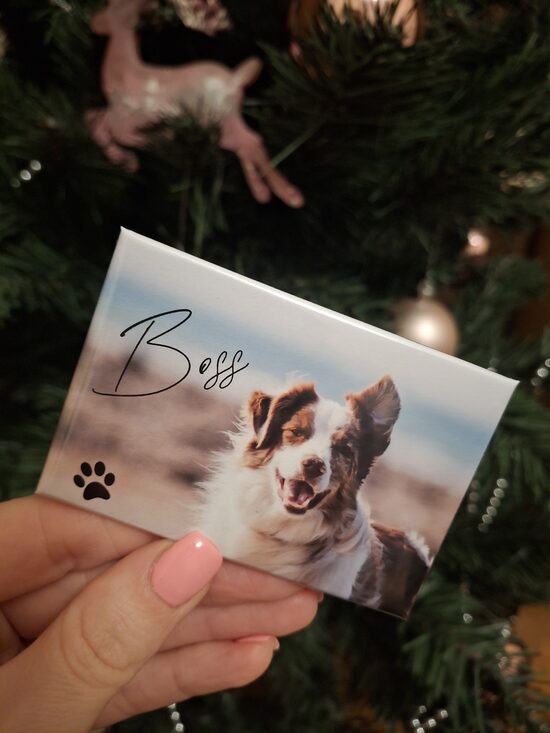 🐶 'Best friend' magnētiņš