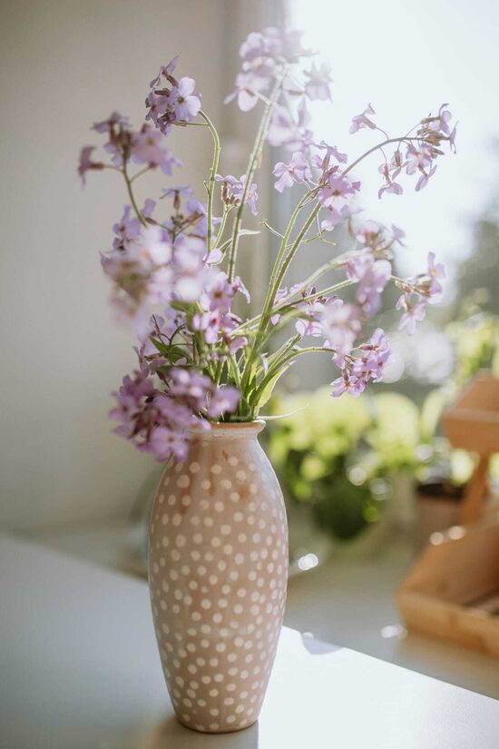 Vāze 'Punktiņš uz i' 🎨🦄